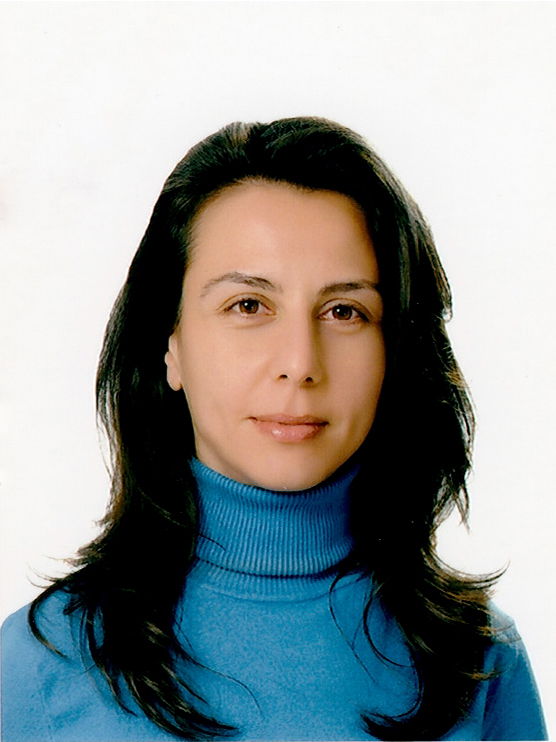 HİKMET SÜRMELİ